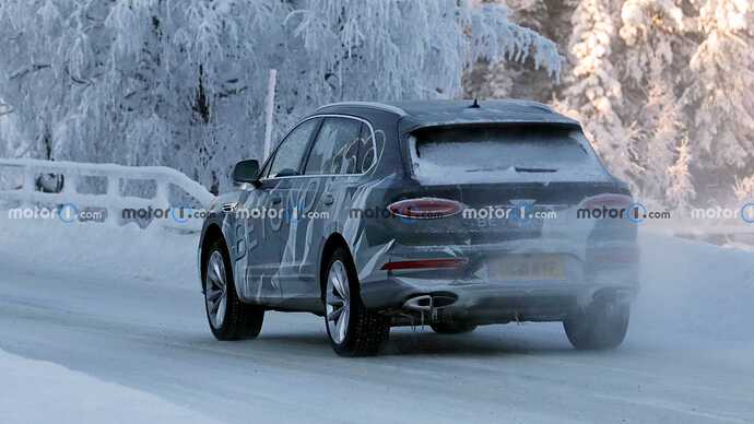 bentley-bentayga-long-wheelbase-spied-during-cold-weather-testing (10)