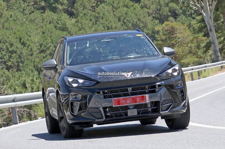 cupra-terramar-vz-is-a-big-insect-racket_2