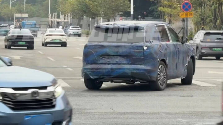 byd_dynasty-d-2-800x450