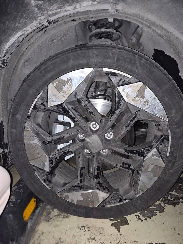 thumb-a08bd24e89987ac40bc5c6836acedcf1_1770616204_2674_950x1266